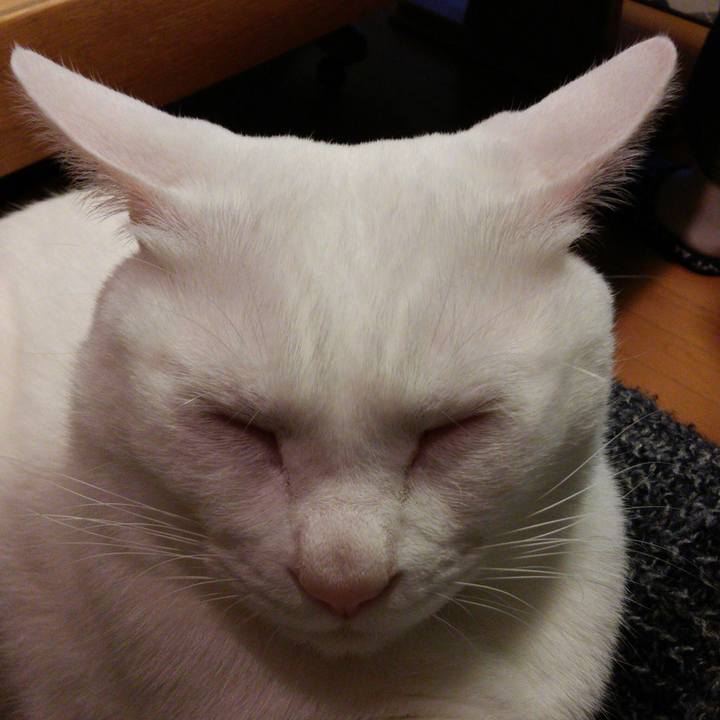 8268de07 6aa1 4240 a066 a8a17a9d7dbb 1513429887011