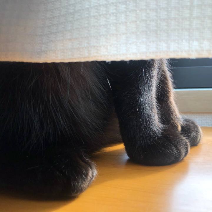 8269380f 2c3d 466b 8e9a 58a8ab77cd78 1642909790411