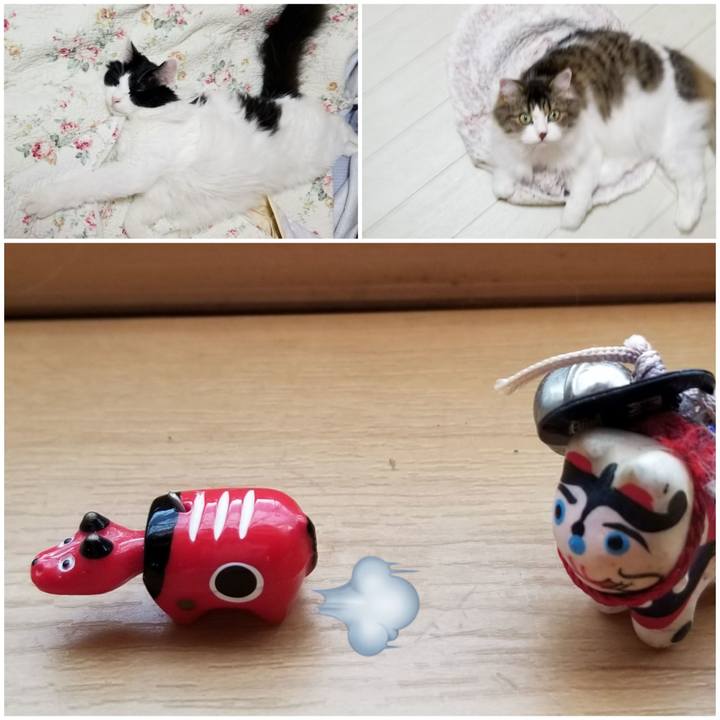 82696819 cc07 46cc 8af7 62535b98723a 1565595478758