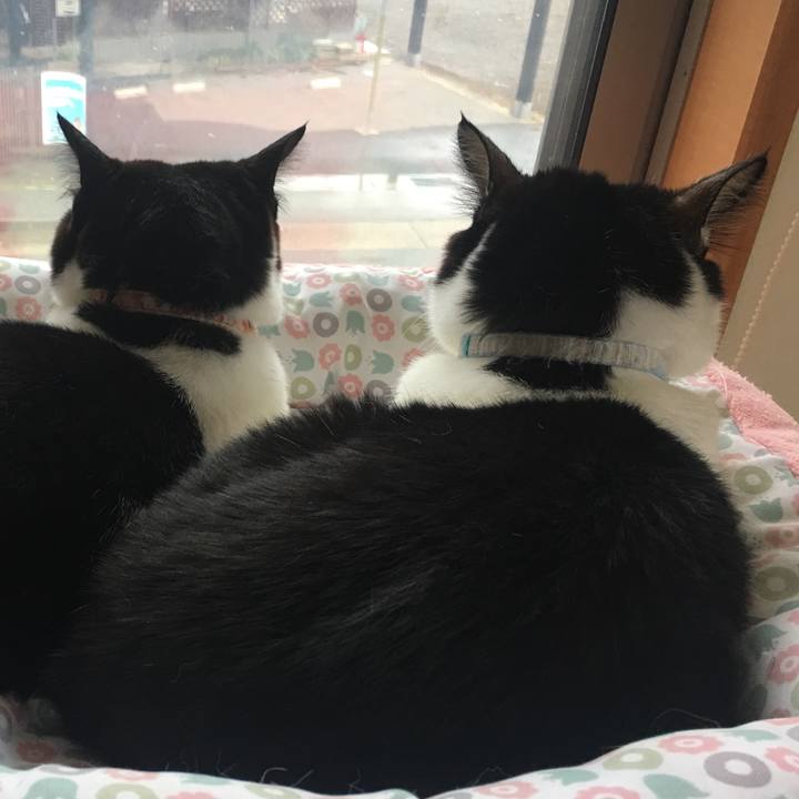 82697b69 fef3 499f 8dc7 a3b0a2210ac1 1520485647716