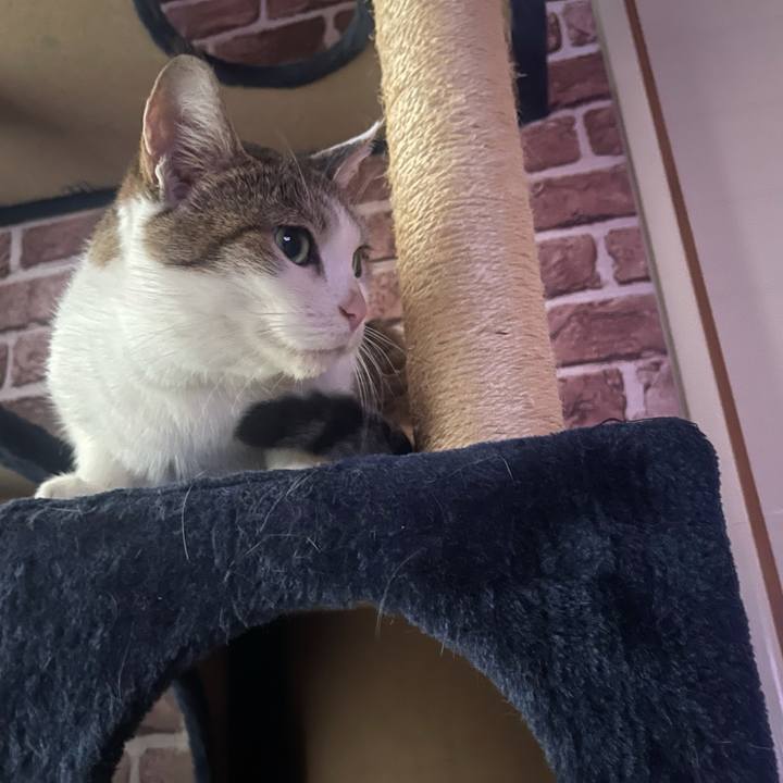 8269e1d2 3692 4542 a0db 822c734b6e81 1630615206915