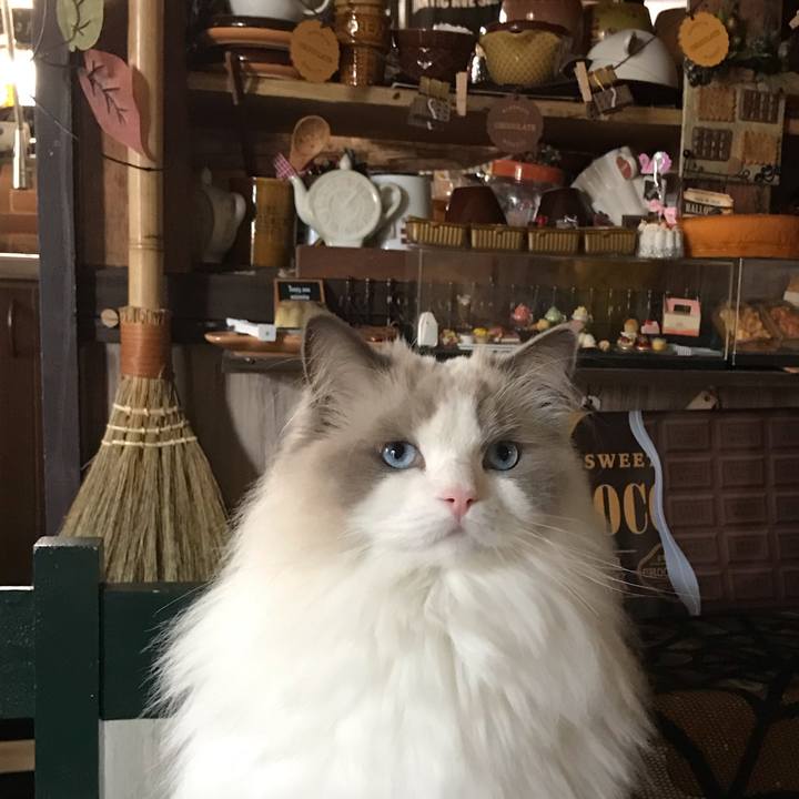 826a00f0 1644 477b 9d54 a5e54d6572aa 1573980698843