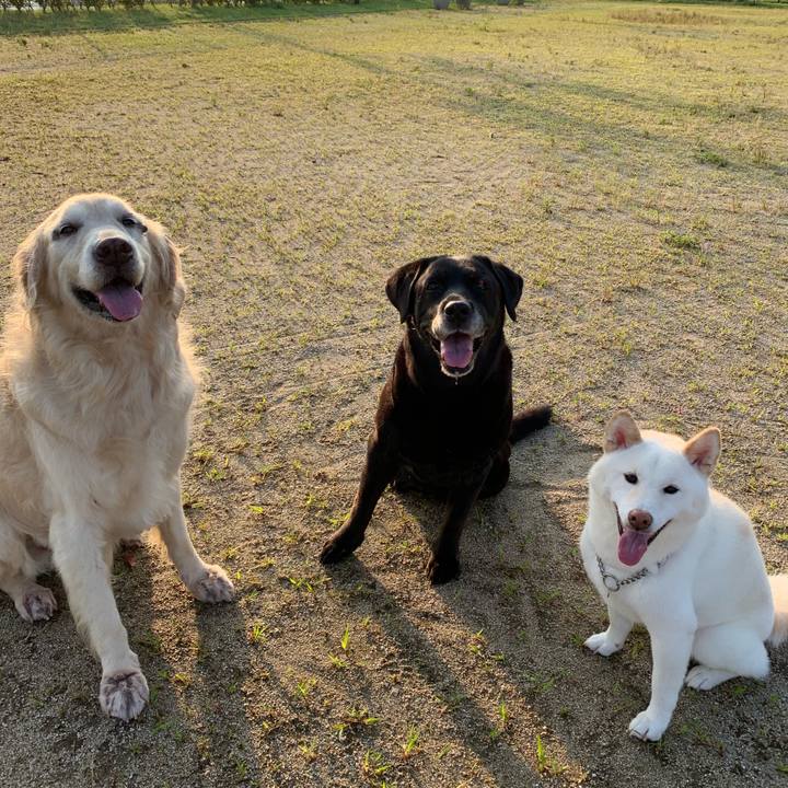 826a054b c13a 4a13 ab6e 73fdfea1e22e 1563229836976