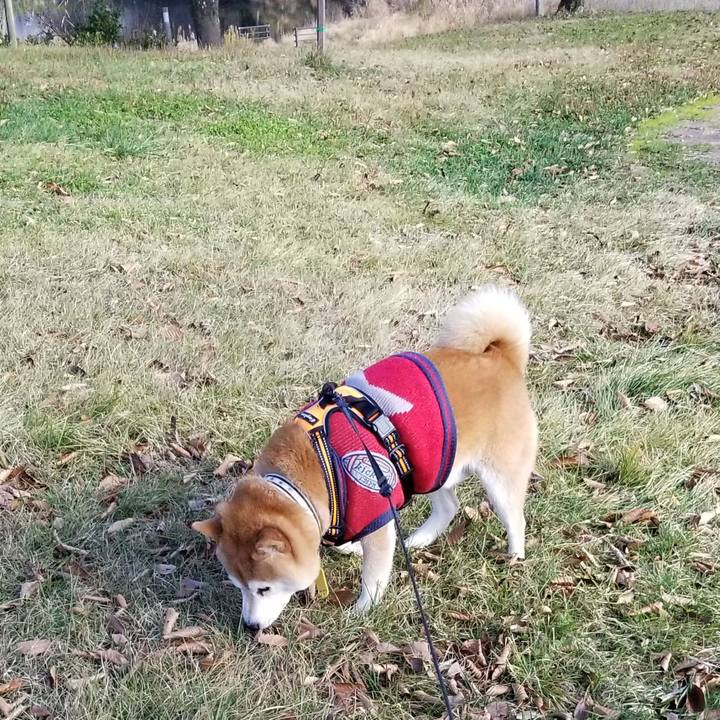 826a065b ebb7 4d26 ba3c c203929dcdda 1606454317436