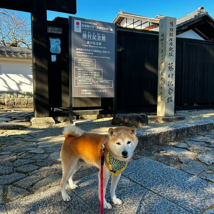 826a551b 9458 4f7f 8a15 138f0a2a248b 1763710423401