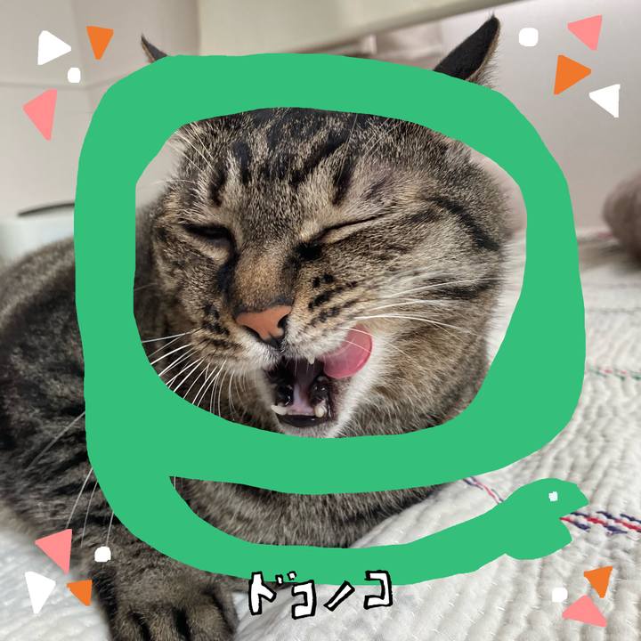 826a7eaf 29c0 47f1 96ba 113384d16c41 1741088953382