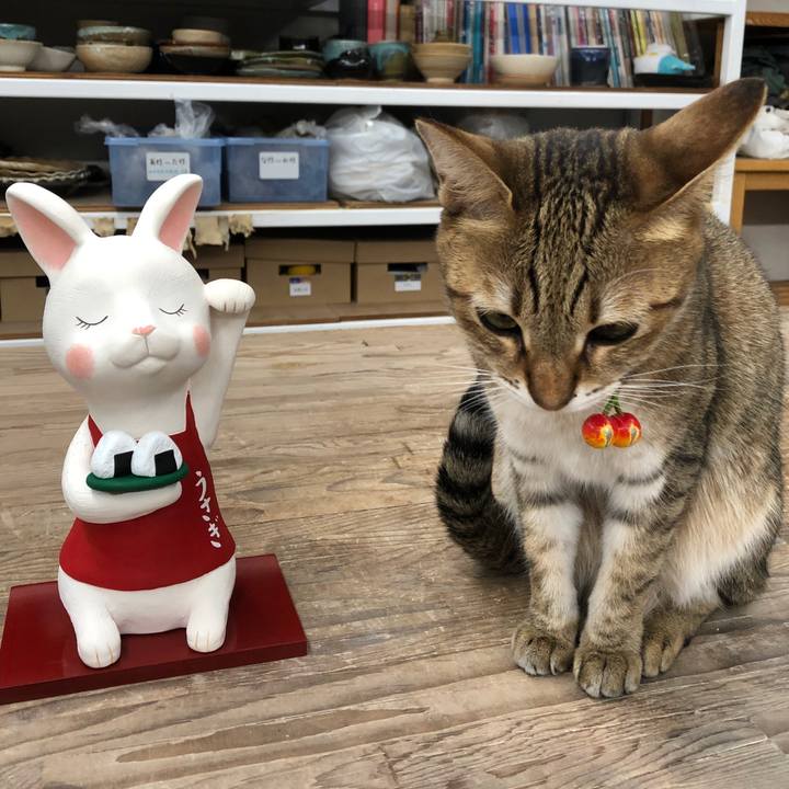 826ad081 2e62 4832 adc0 63b57fc47570 1667563125733