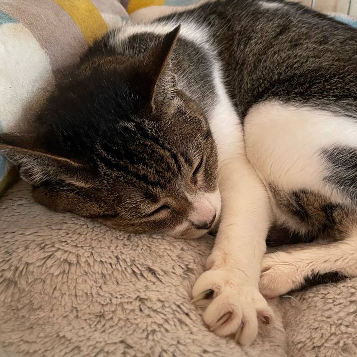 826ad107 6414 4cdc a638 c64d219ae4a2 1657245912682