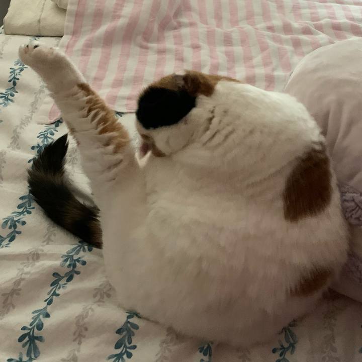 826b1555 88d2 44f1 86ae 3f7b2e8b017f 1580817710800