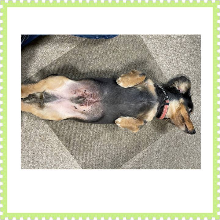 826b5ffa 3d26 4242 a3fd 42c8ffe00281 1609135962308