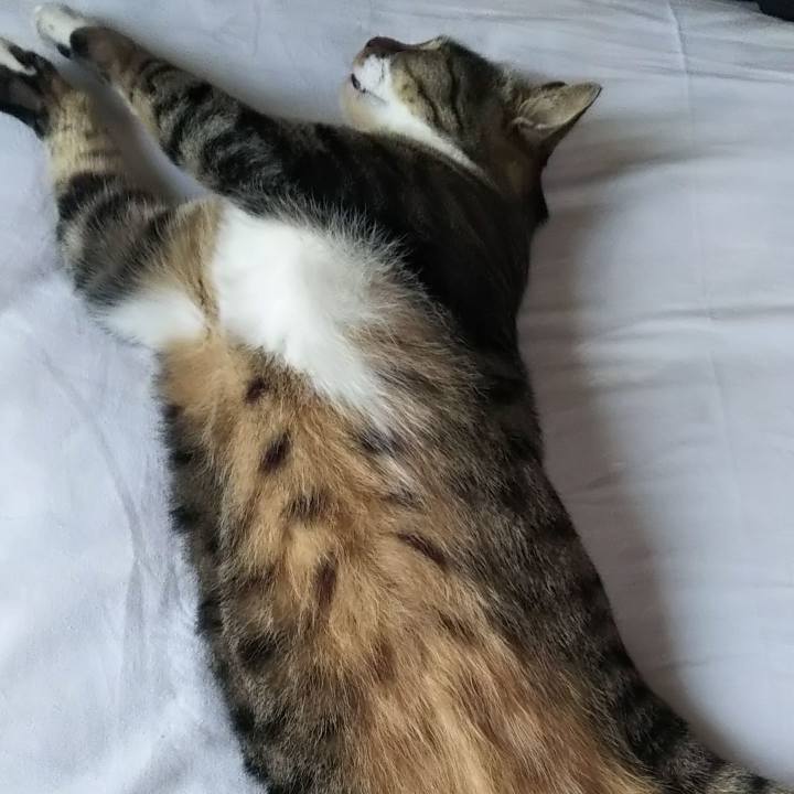 826bab2b 57a5 40b3 9a67 f36e13ba1fa3 1626682721811