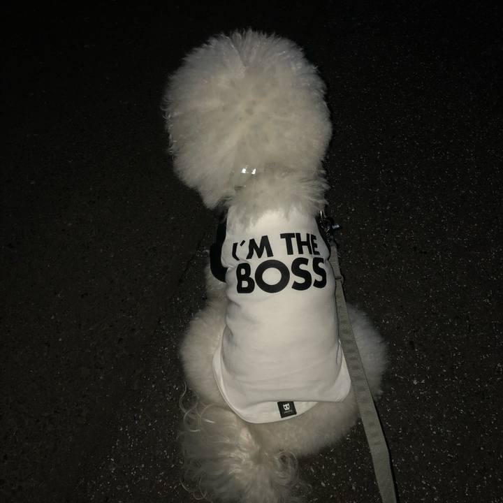 826bb47b 55ed 4d14 b650 1b2c8ceb79d0 1513542078646