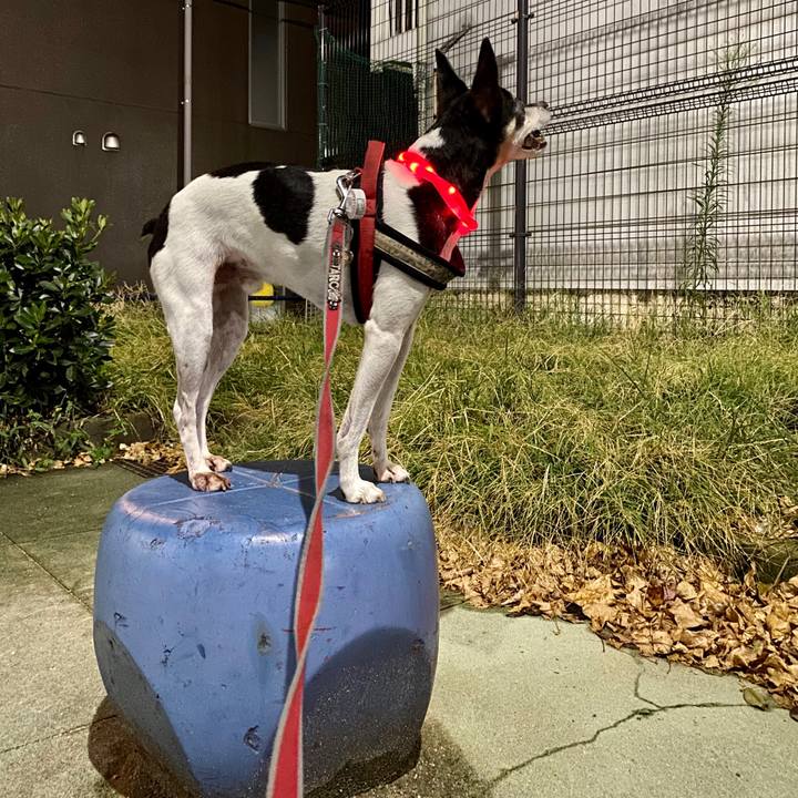 826bb698 252d 4159 91c7 6057e3e748d6 1598539329607