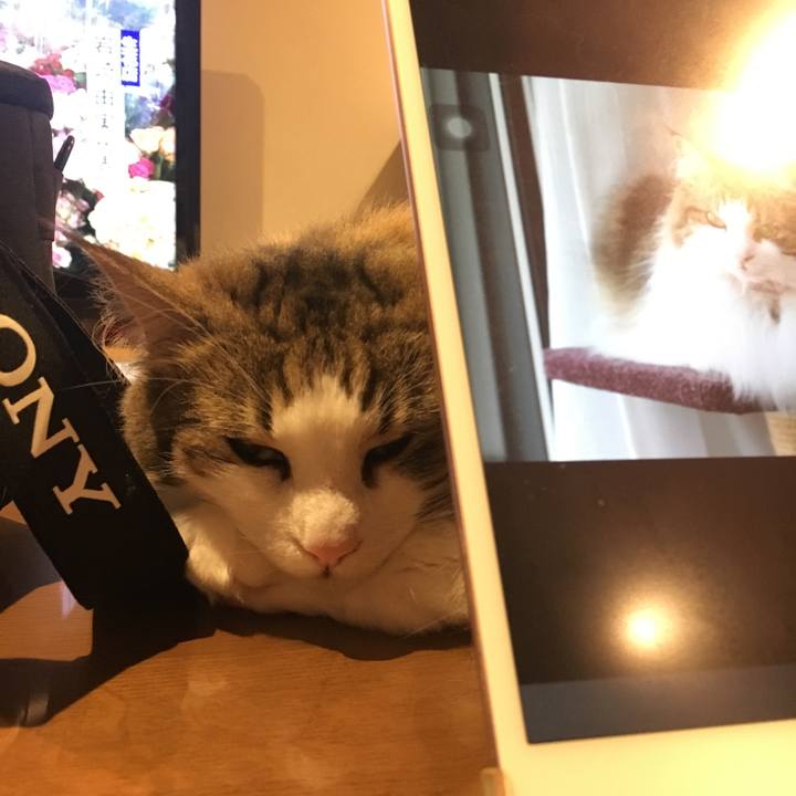 826bebc4 f8ac 444d 9eb7 e01d47c681aa 1557663080935