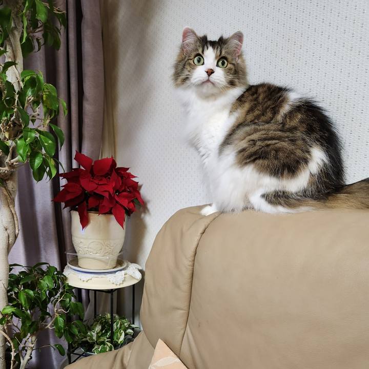 826c5627 d6b7 4f54 844f 7db67be4f8e8 1704035794073