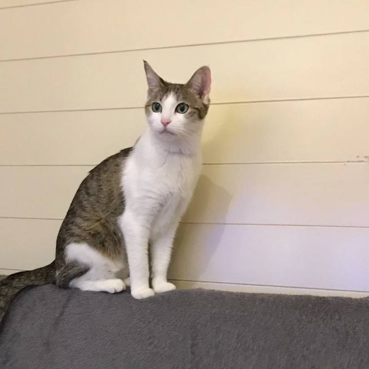 826c910f c9a4 4e07 8fd5 6e67a28ed88b 1624753028554