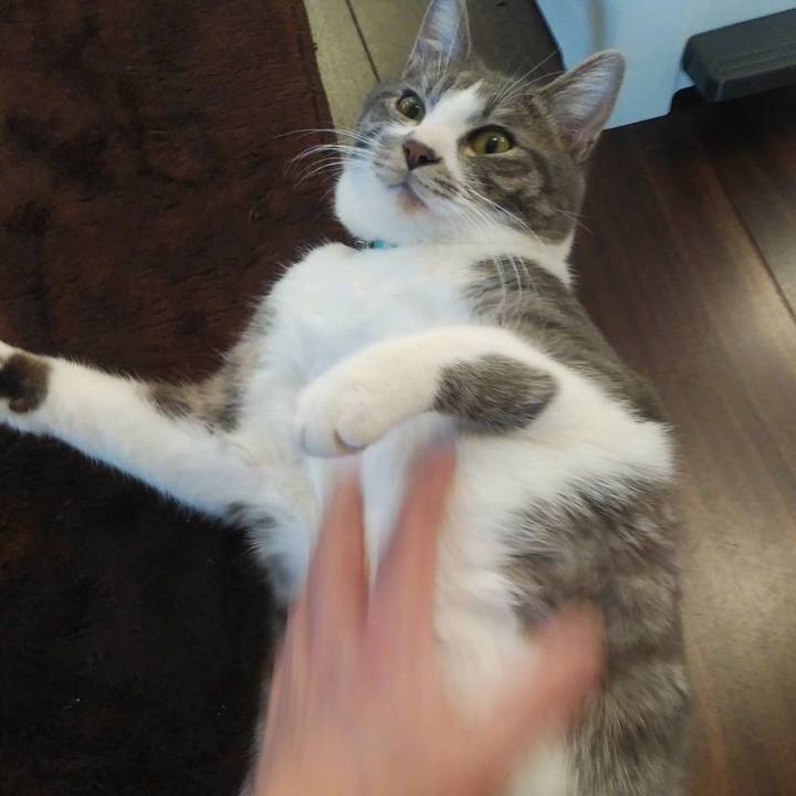 826cc092 276b 4307 8ffa 45fc6a7421e5 1580338982308