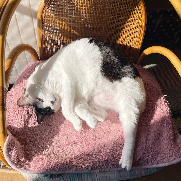 826cca23 b6fc 470b bef4 e6a4560509f4 1765079310362