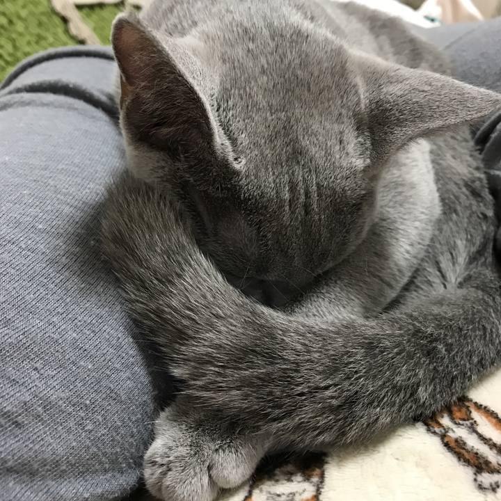 826cf23b e042 40de 9394 7da7e4c9d9e0 1509798876217