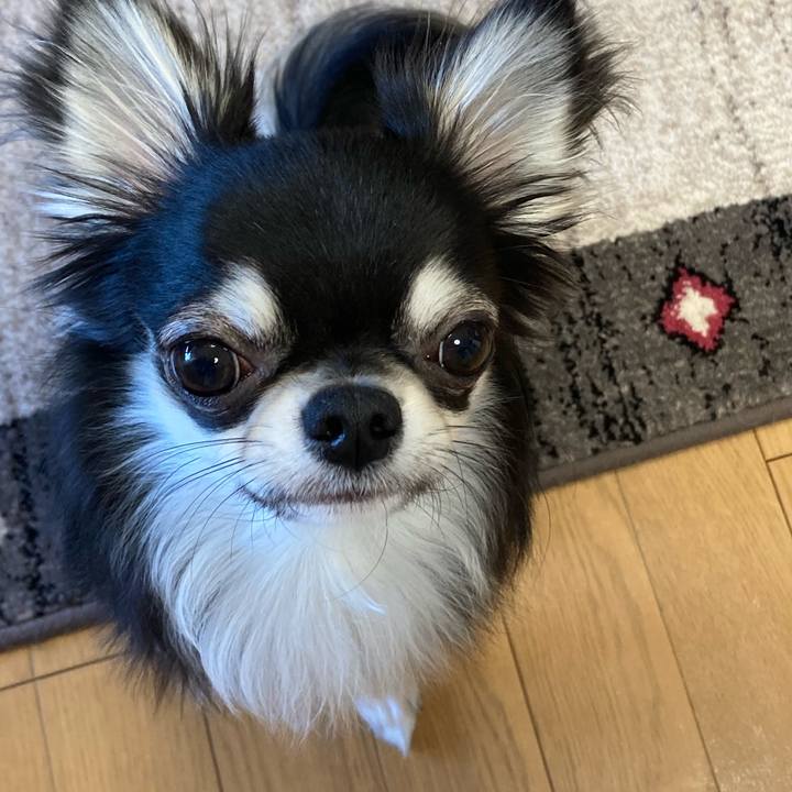 826d060a 9c75 4409 a045 7e0084d8065c 1610147996815