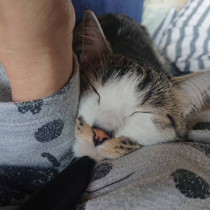 826d181a 5ce8 470c afaa ca79ebbf8136 1647830997210