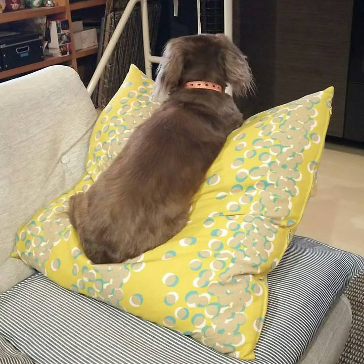 826d2440 eac6 4b84 b352 f23fa55947b4 1524523875202