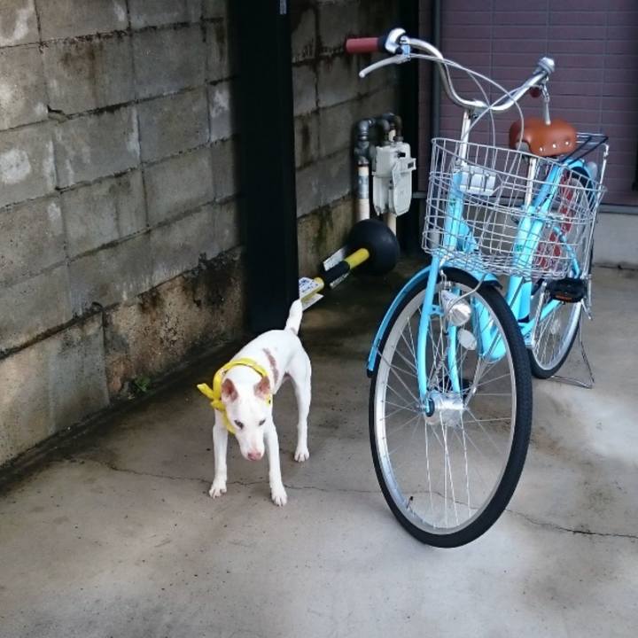 826d5265 f686 4fb3 84be 79296db956dd 1626219490169