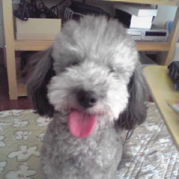 826decbc 21ac 40e2 a33e f2414673ea45 1695082348691