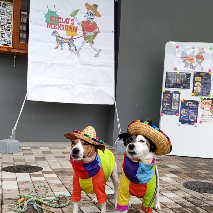 826e21fc d02a 4c47 9db6 921d80750051 1686489430676