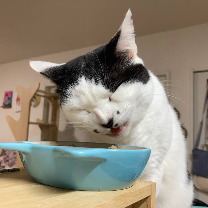 826e3cf6 4026 4a65 bb2d 17828a0fb3ad 1767043391101