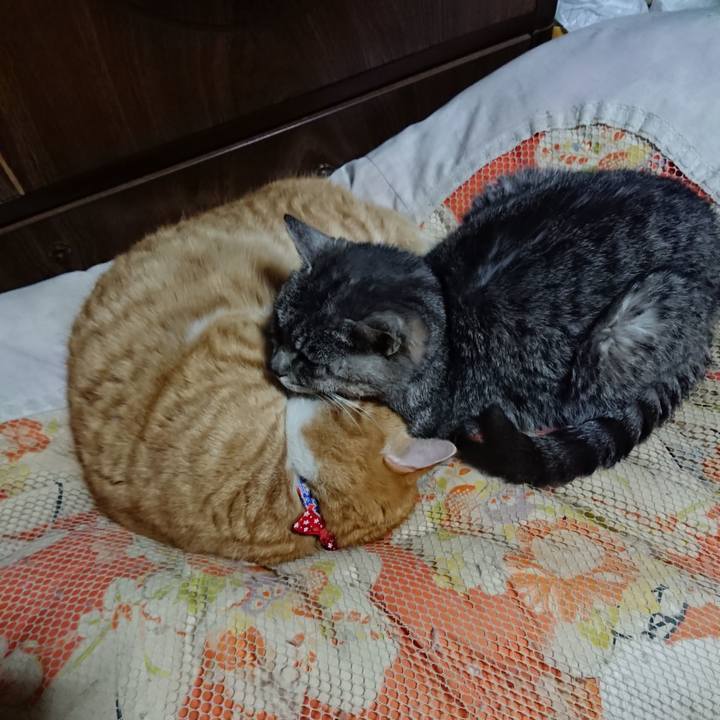 826e62ee bc5b 49a9 ac82 d14b6df9bbcb 1577709911146