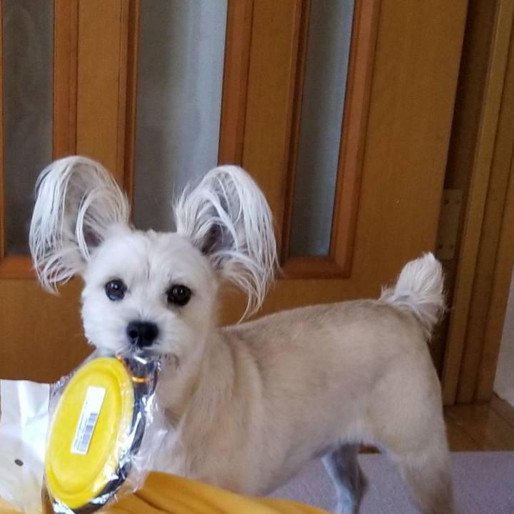 826e6450 ccb8 47cb 9533 c07f2eeaa00a 1526790997278