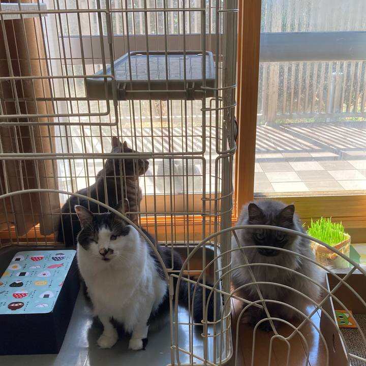 826e6eb6 c828 4f53 a27a 5959ab5f8b54 1710297397582