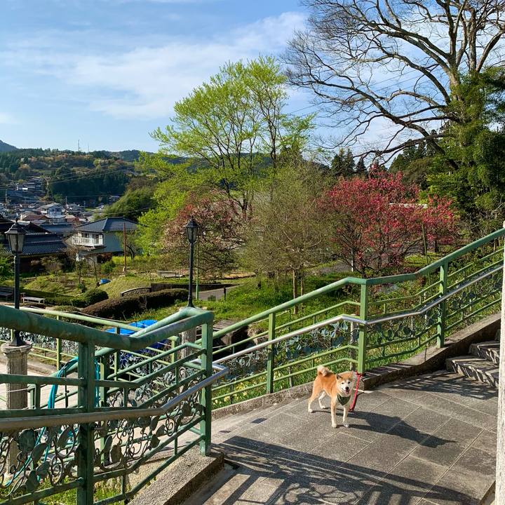 826e7267 bdfe 4b66 b373 eea0fecbc603 1681987755242