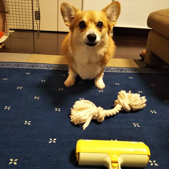 826e74fc 0b83 46a0 b95e 728631b4f8f1 1573299683184