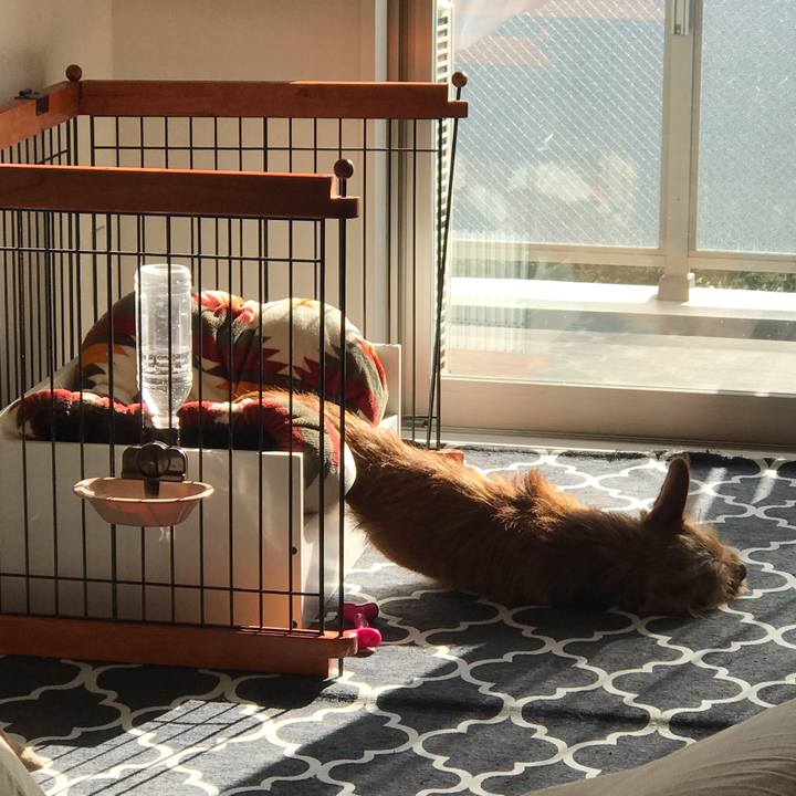 826e7bb8 9c9e 4674 9297 3675a3878639 1543547357881