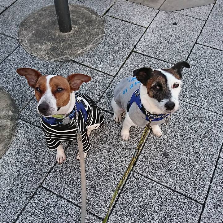 826ea007 59f6 4d8b 81a3 7c9fb47d1563 1582236841980