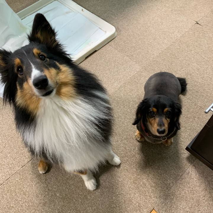 826ead8b d9a7 4577 a193 53a37f598f12 1563400411142