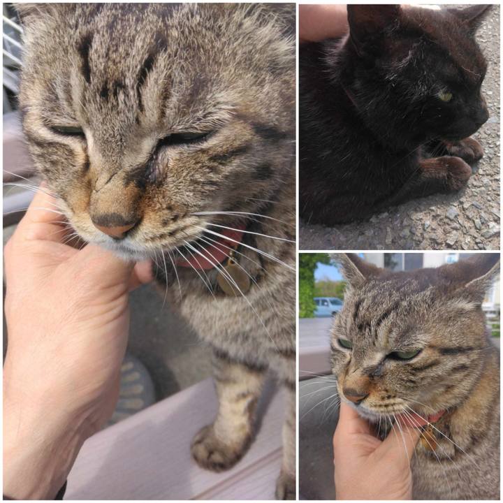 826ec581 ce1b 4fb3 a03c 1bb62713f0c5 1714115459458