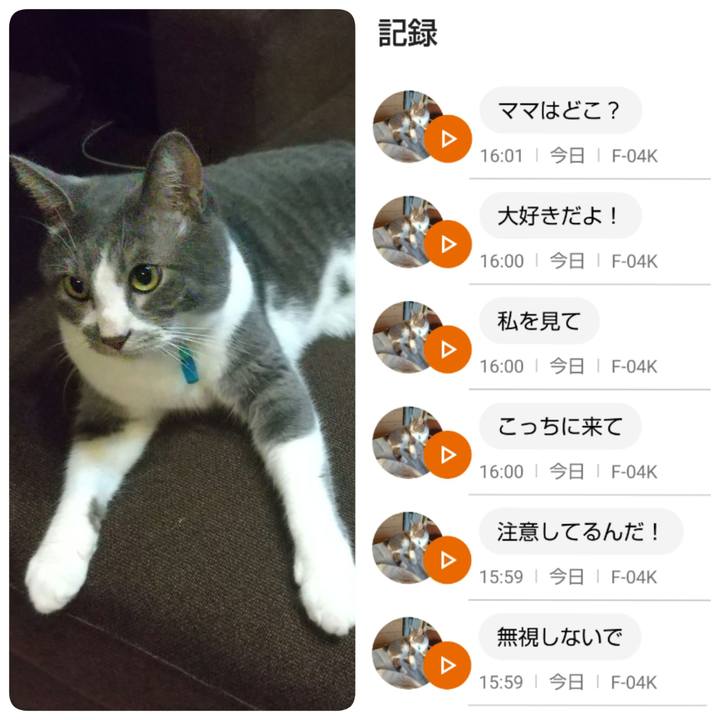 826ed22a 41de 416b a954 54ba3441a026 1633686818148