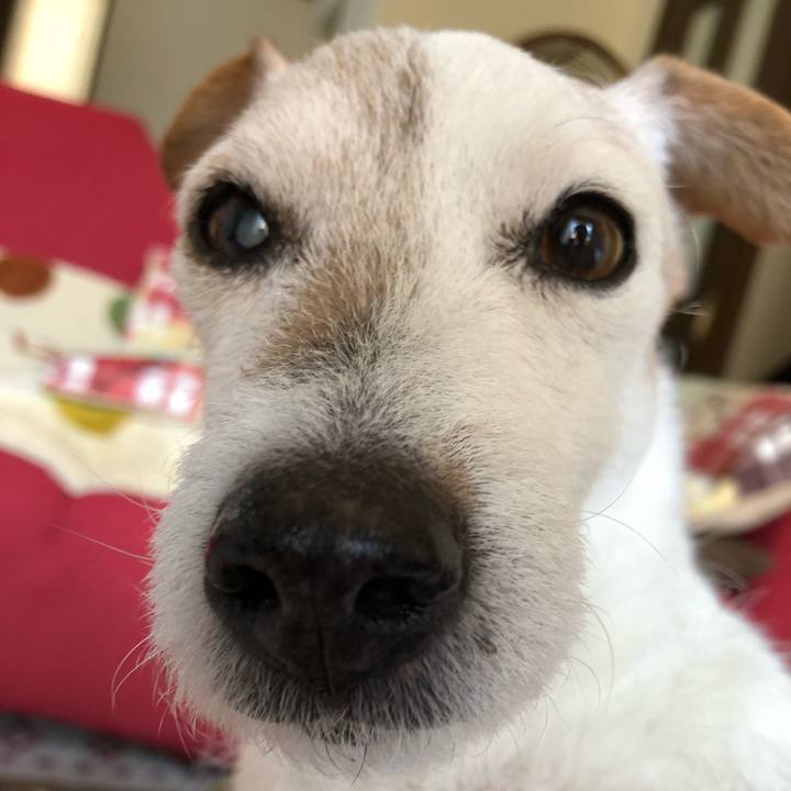 826ed3ee 1e7c 4112 89bc 413f6e0ec40b 1524311588180