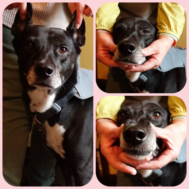 826ef82f 2caa 4480 a541 47da0024ba0a 1730680081653