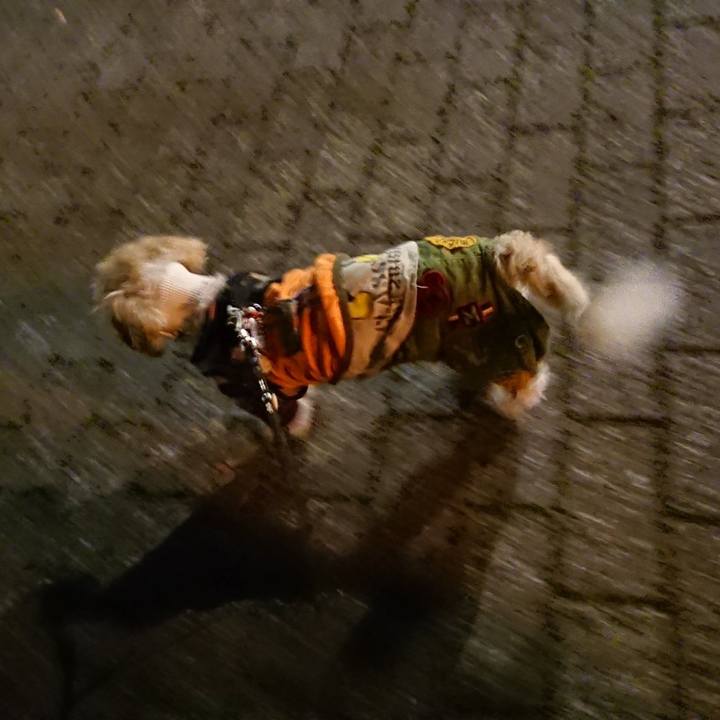 826efcf6 beee 4d65 8ae1 2faa2f08fde4 1555654951854