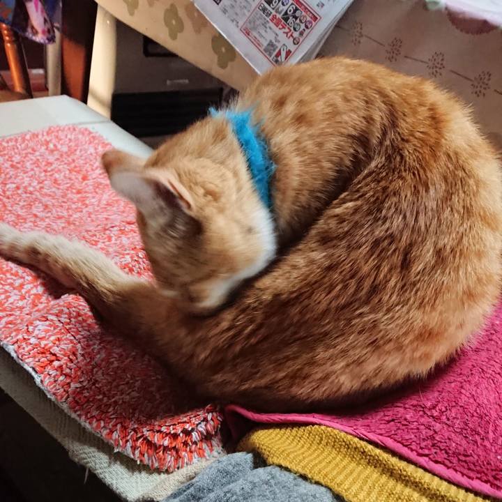 826f061a 5d11 4cea a079 2f2354a2c5ac 1557435774161