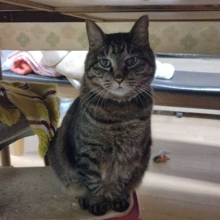 826f161d c59c 4cfa 99e8 ba9bf0dd185a 1711748290231