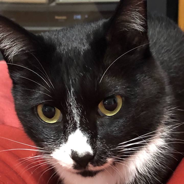 826f1727 e1eb 41db 821a f7bb161387f8 1634374993997