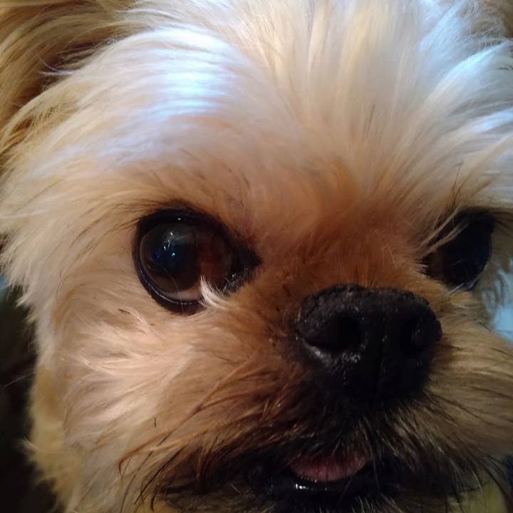 826fc314 670e 4796 b8db ce537903bb02 1604049729975