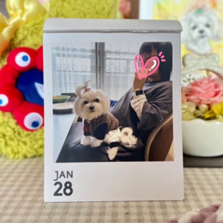 826fd2a0 207a 43e1 bc7b 44ffa4368327 1769681857483