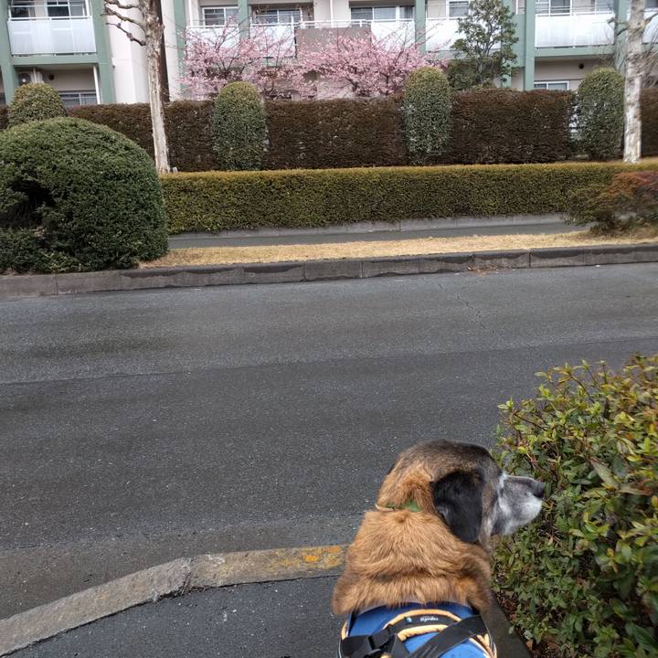 827021af 693f 47ef 82d6 6d2153d677eb 1519259195436