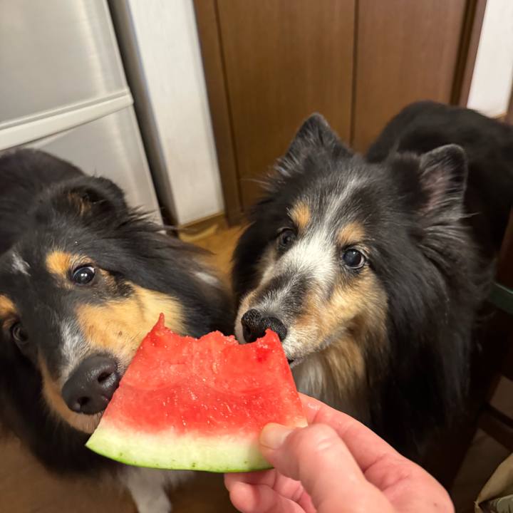 82703c7a 776a 43f1 ab15 b21d1f7d4228 1751381270483